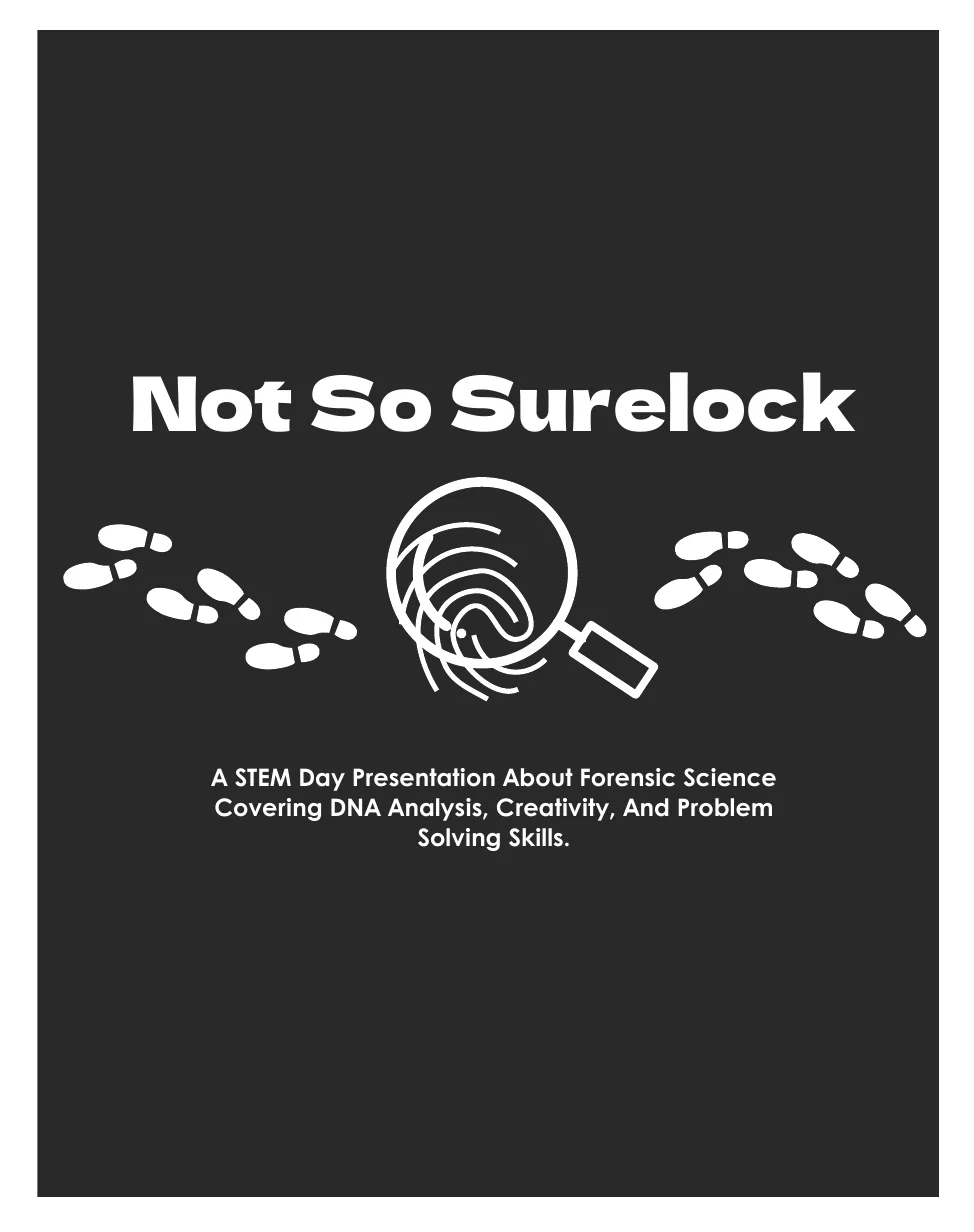 Not So Surelocks portfolio cover